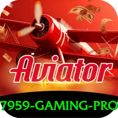 7959 - Gaming Pro - go