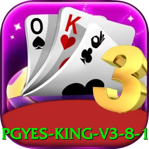 pgyes King v3.8.1 - vip